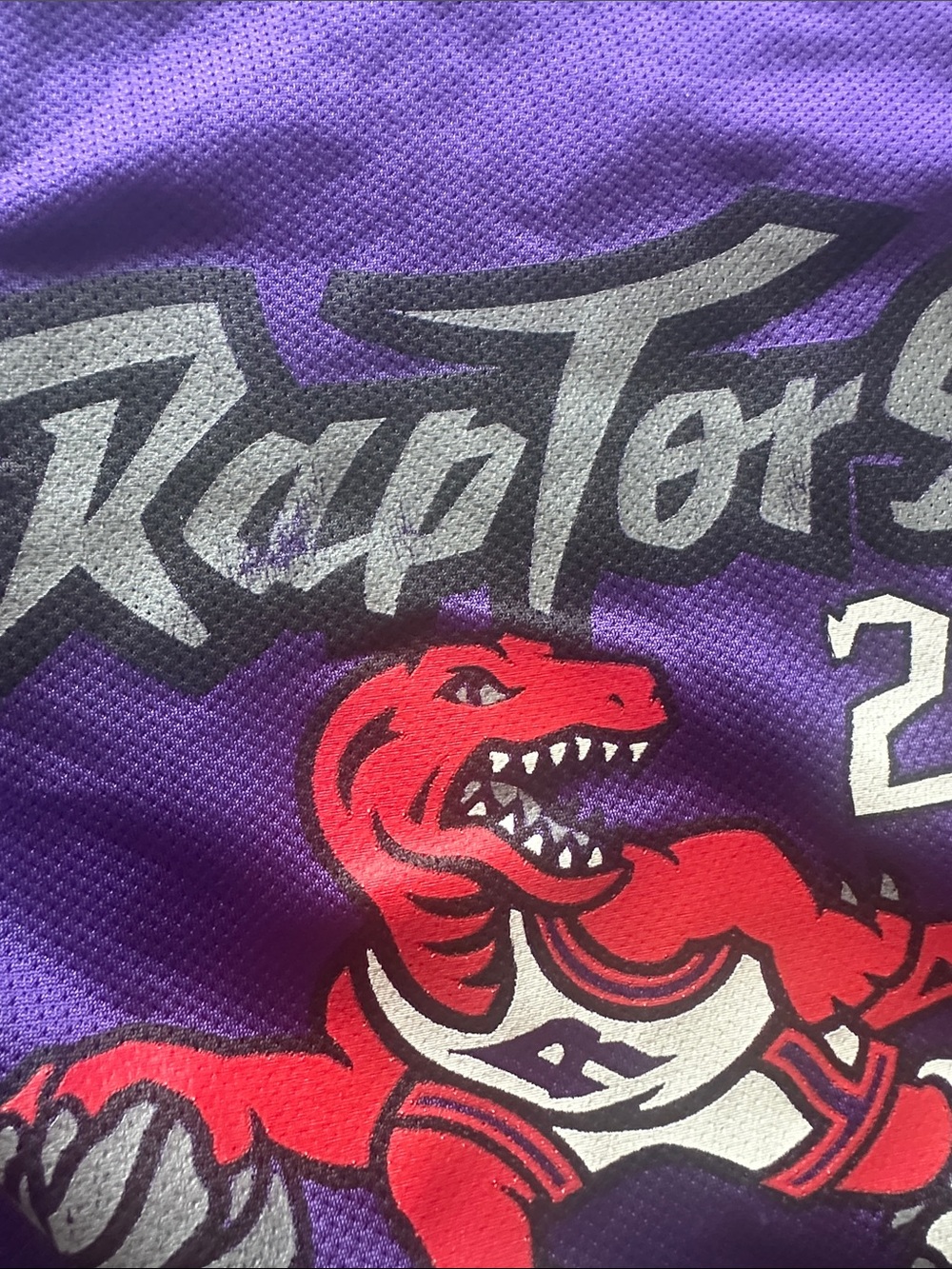 Z—Champion Purple Mesh Basketball Jersey with Red Accent - Picture 5 of 16